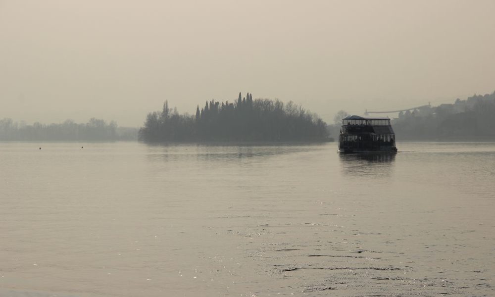I canguri di Pusiano devono essere spostati, la Fondazione gioca l’ultima carta