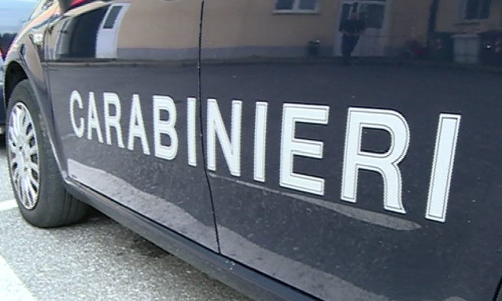 Rubano canapa in un’azienda agricola a Bregnano, scoperti e denunciati