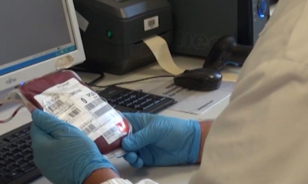 Febbre del Nilo, controlli sui donatori di sangue per evitare il rischio di contagi