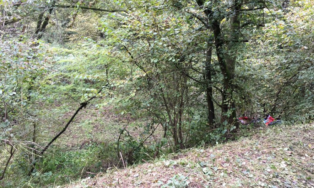 Delitto di Stabio, processo a Lugano. In aula Michele Egli, accusato di aver ucciso la cognata