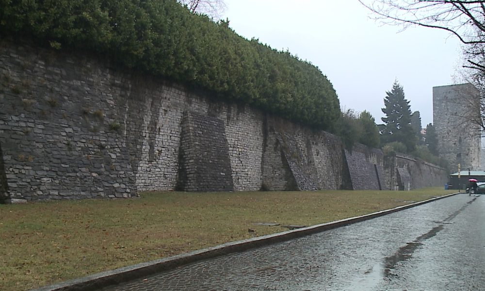 Como, alberi e piante su torri e mura antiche. Il Comune: “Manutenzione soltanto alla base”