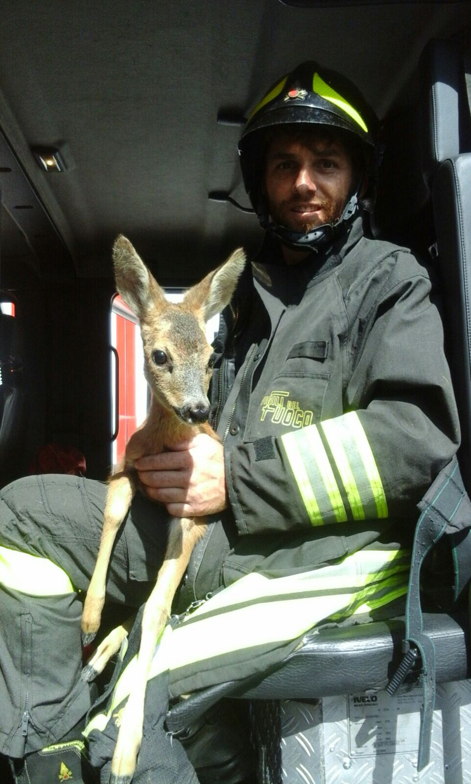 I vigili del fuoco di Como salvano un capriolo a Canzo