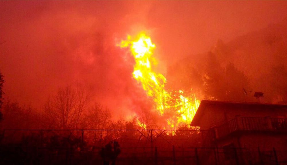 Patteggiano i piromani dell’Altolago: 5 anni e 3 anni e 6 mesi e una multa da 150mila euro