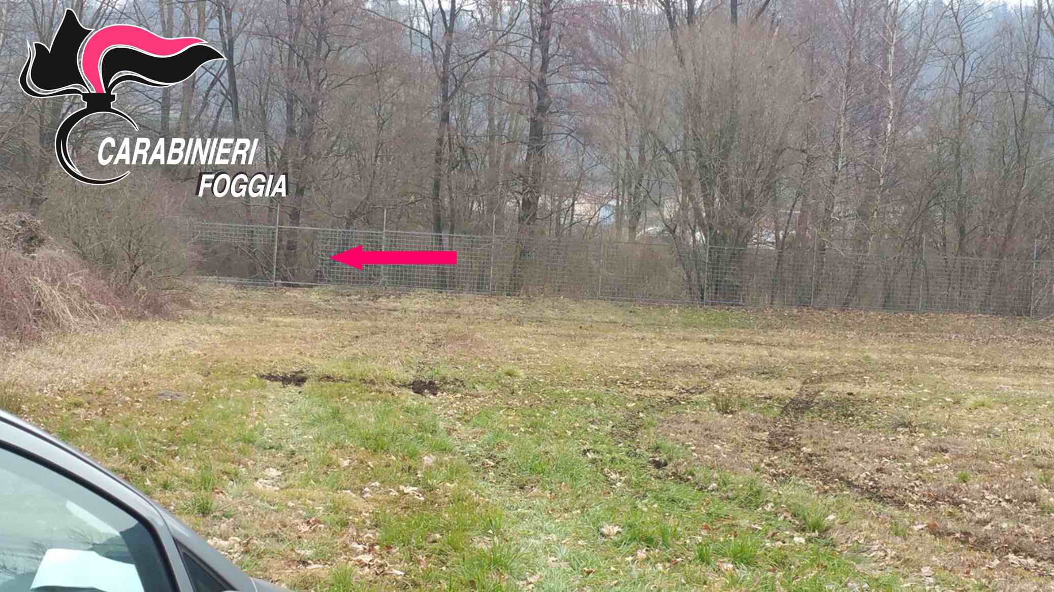 Assalto fallito al caveau svizzero, il piano dei pugliesi che si ispiravano al film Ocean’s Eleven