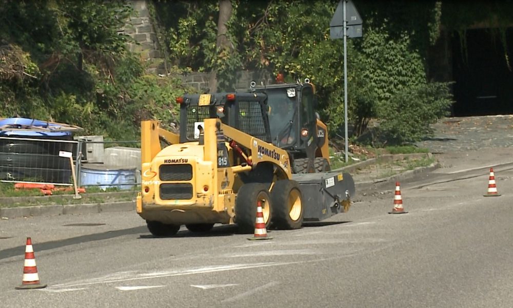 Alberi pericolanti, domenica chiude al traffico via Bixio a Como