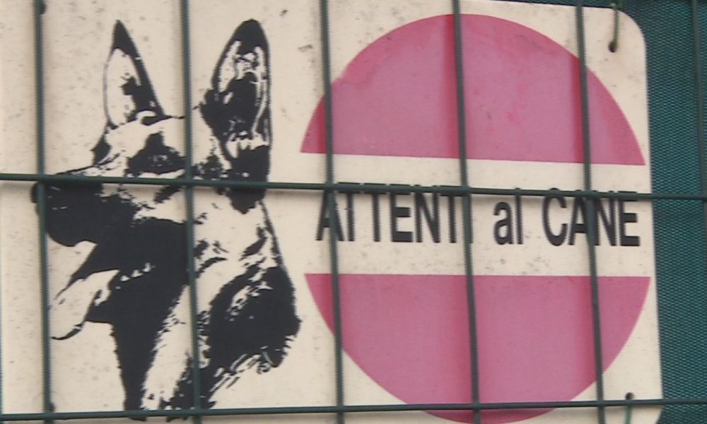 Cadorago, cane fuori controllo azzanna padrone al braccio