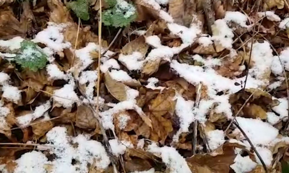 Atteso un colpo di coda dell’inverno: nel weekend calo delle temperature e rischio neve