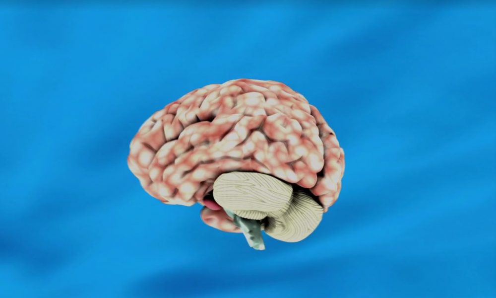 La settimana del cervello, venerdì un incontro di educazione e prevenzione a Fenegrò