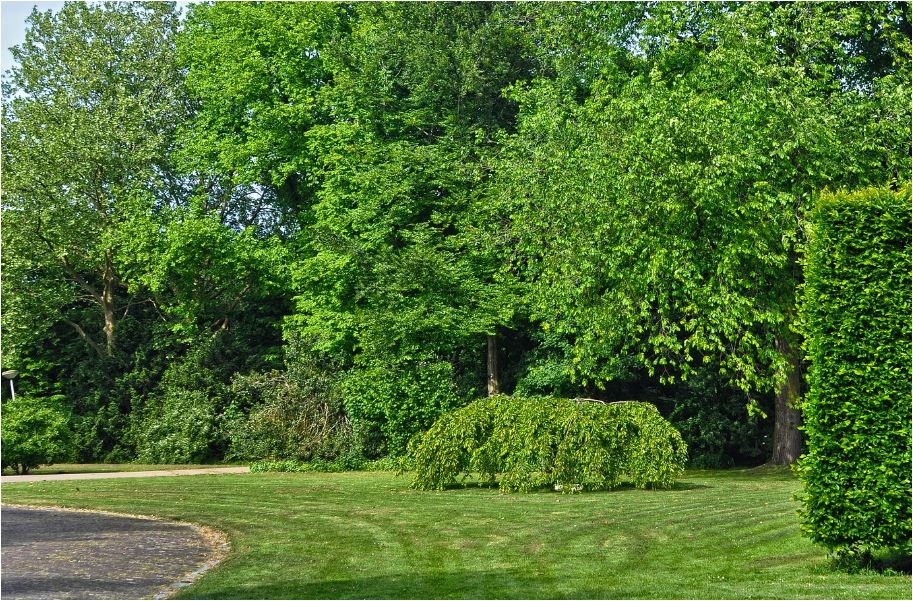 Lugano, questo fine settimana riaprono i parchi. Canton Ticino, il contagio: 8 nuovi casi positivi