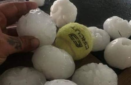 Maltempo, grandine grossa come palline da tennis. Auto segnate, alberi abbattuti: la conta dei danni