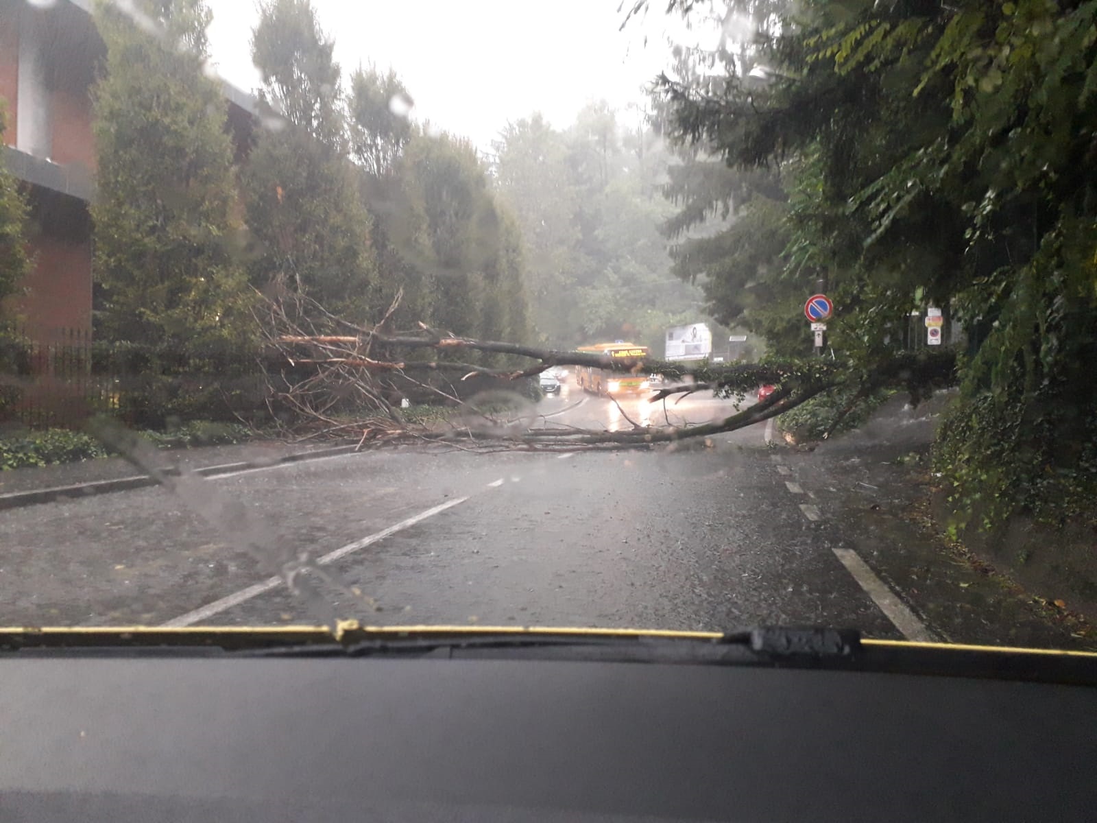 Maltempo a Como: tombini saltati, strade allagate, albero caduto in via Madruzza
