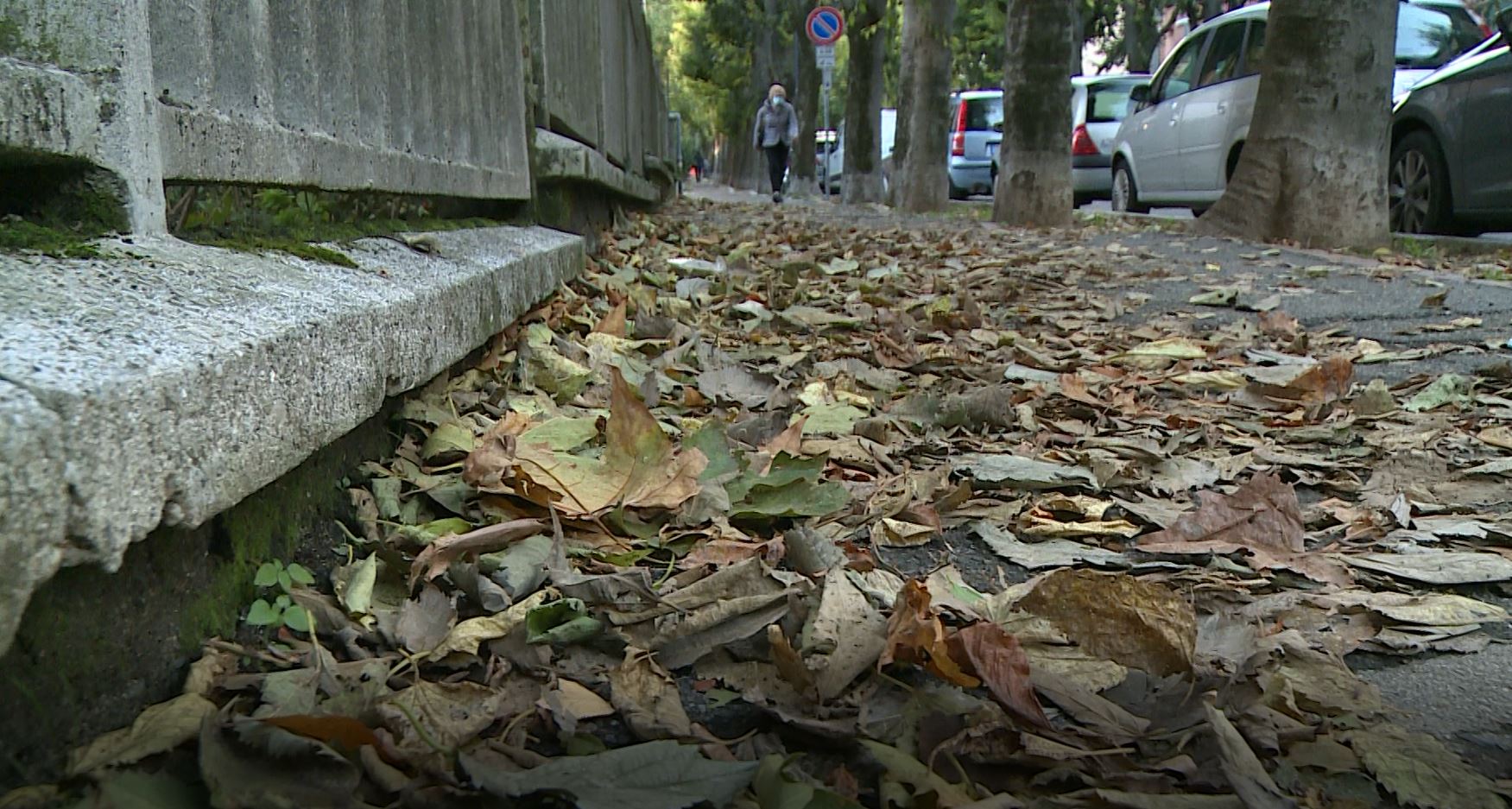 Le foglie invadono i marciapiedi, Aprica: “Dal 9 novembre pulizia più frequente”