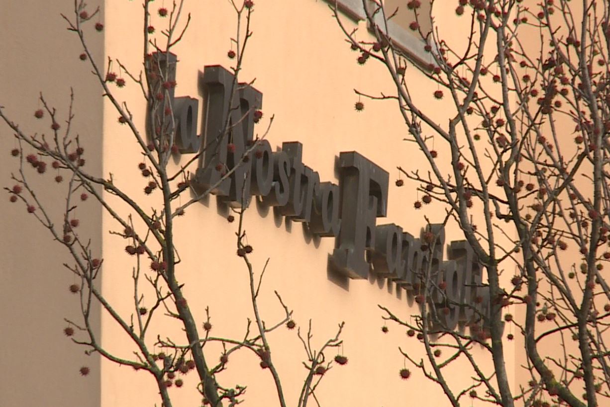 Disabili al lavoro, inclusione e formazione. Le storie di chi ha trovato un’occupazione