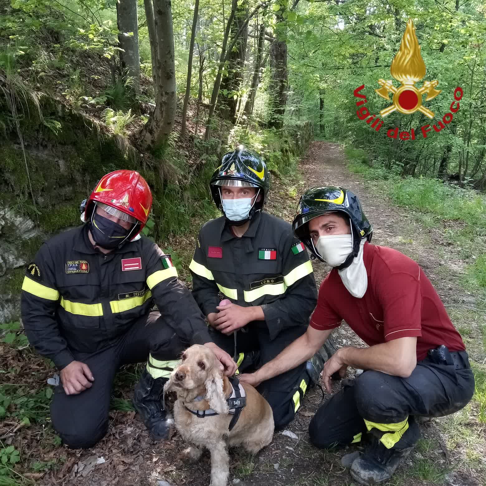 Alta Valle Intelvi, cane scivola lungo il torrente. Salvato dai vigili del fuoco