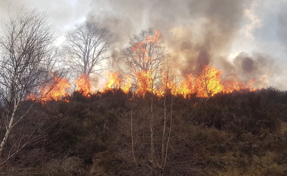 Incendi nei boschi di Garzeno, la Procura chiede il rinvio a giudizio per due persone. Multe per 4 milioni di euro