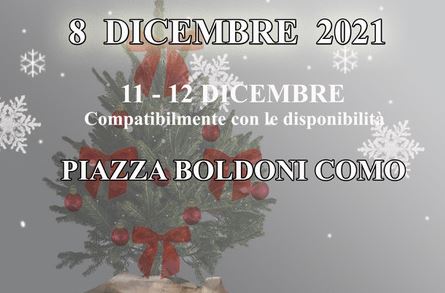 Tornano in piazza Boldoni a Como i pinetti natalizi solidali dell’Associazione Tullio Cairoli Onlus