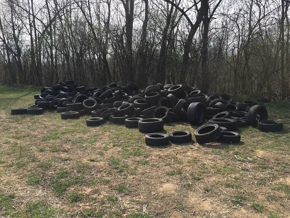 gomme abbandonate nel parco pineta