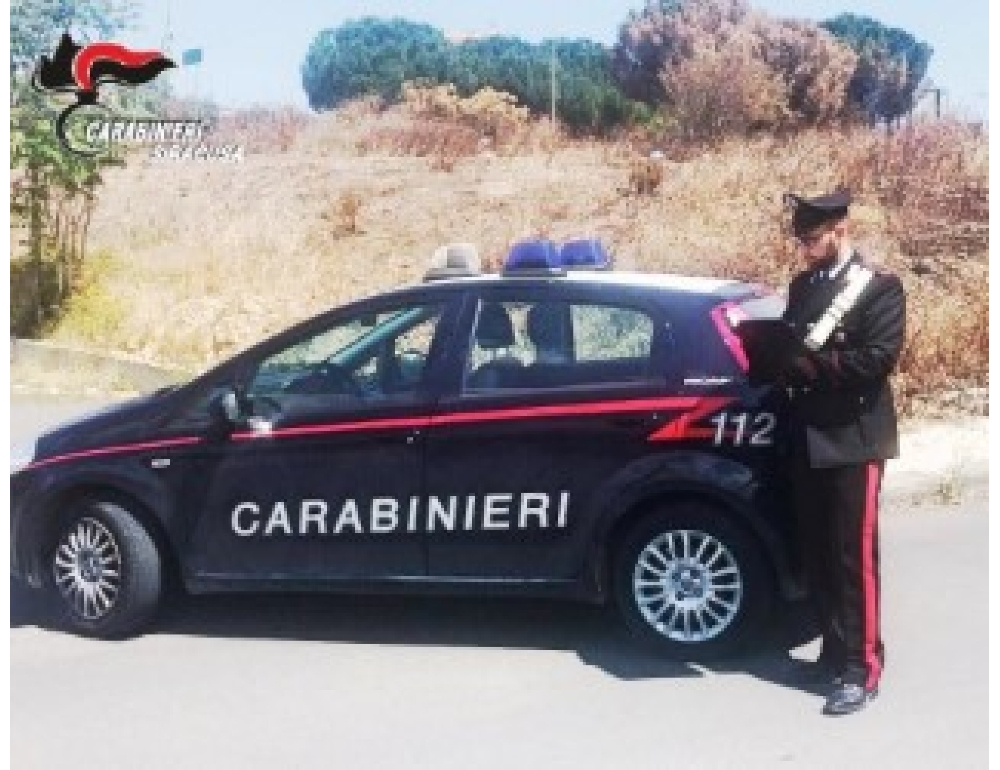 Pony seviziato e trascinato da auto per chilometri