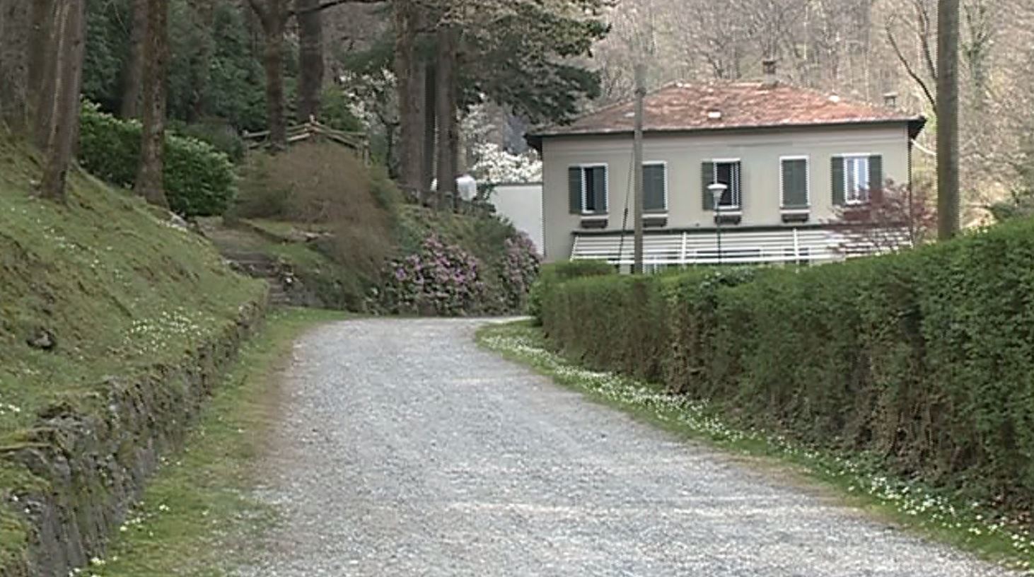 Tavernerio, il 22 maggio la Festa dei rododendri