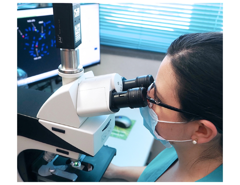 Ricerca: studio Sissa, luce per attivare cellule nervose