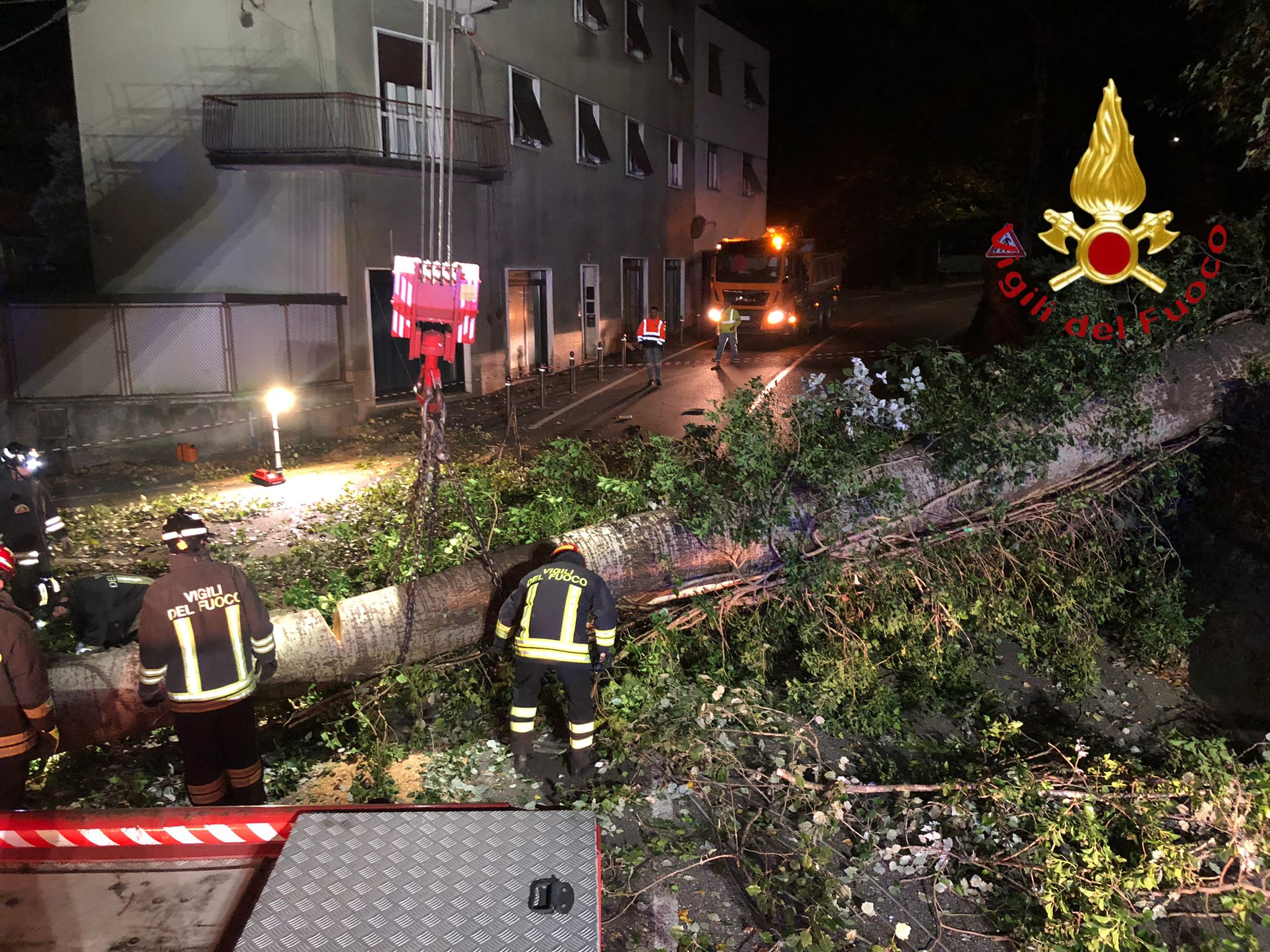 via carso Cade un albero in via Carso