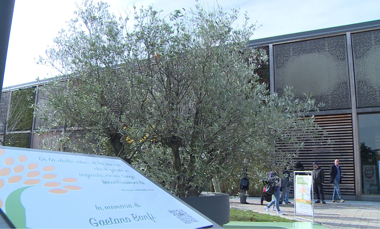 A Rebbio inaugurato l’albero di Gae in memoria di Gaetano Banfi