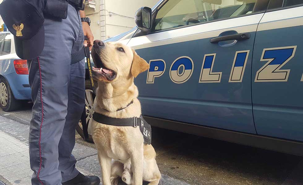 Polizia unità cinofila controlli droga
