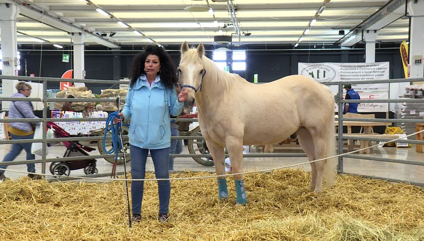Animali, prodotti del territorio e laboratori sull’ambiente, al via Agrinatura a Lariofiere di Erba