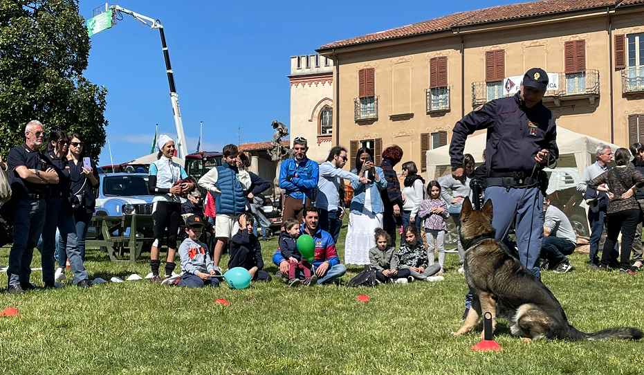 Appiano Gentile, ultimo giorno della Fiera Zootecnica