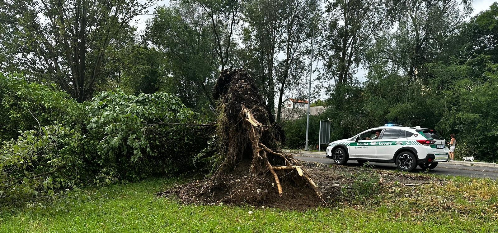 Il bilancio del maltempo nel Comasco: oltre 200 interventi dei vigili del fuoco