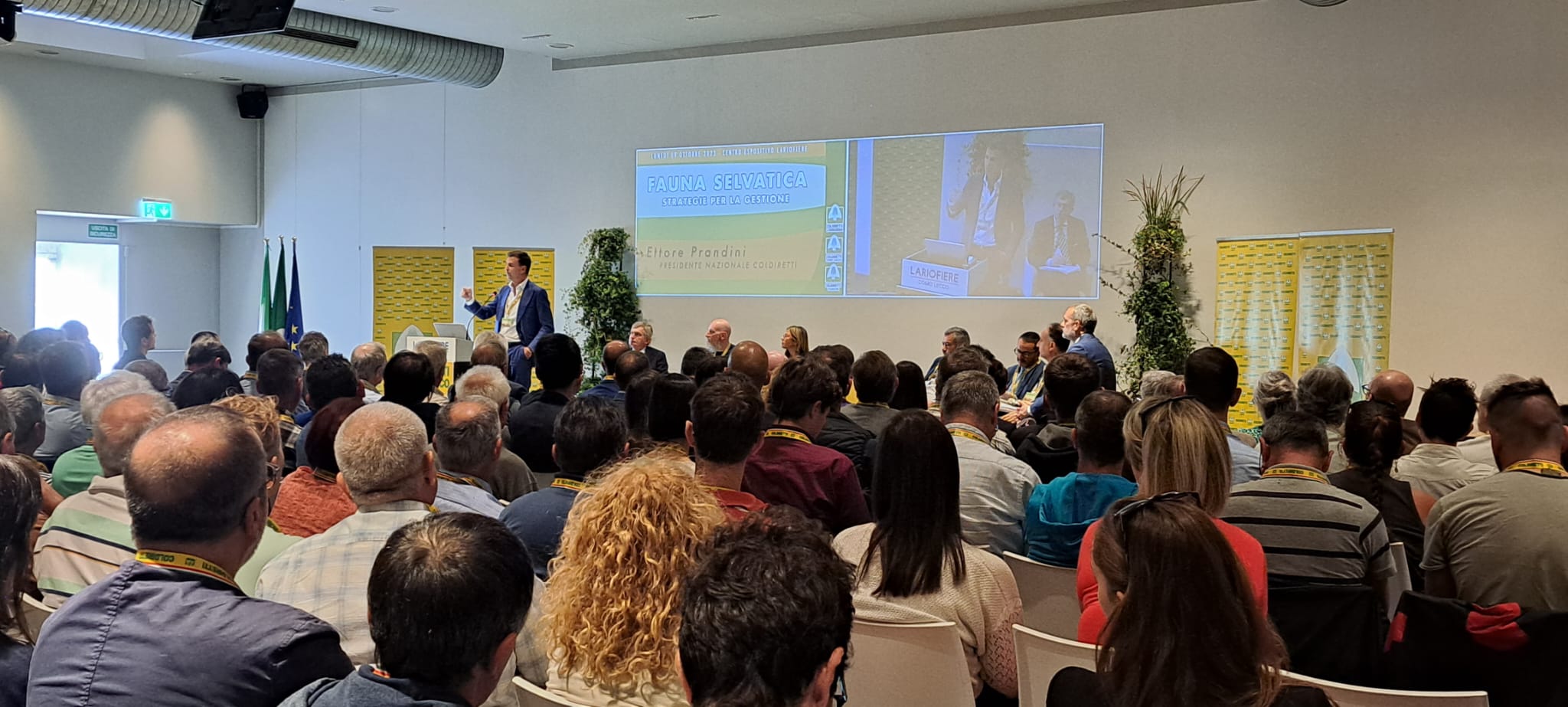 Danni da animali selvatici