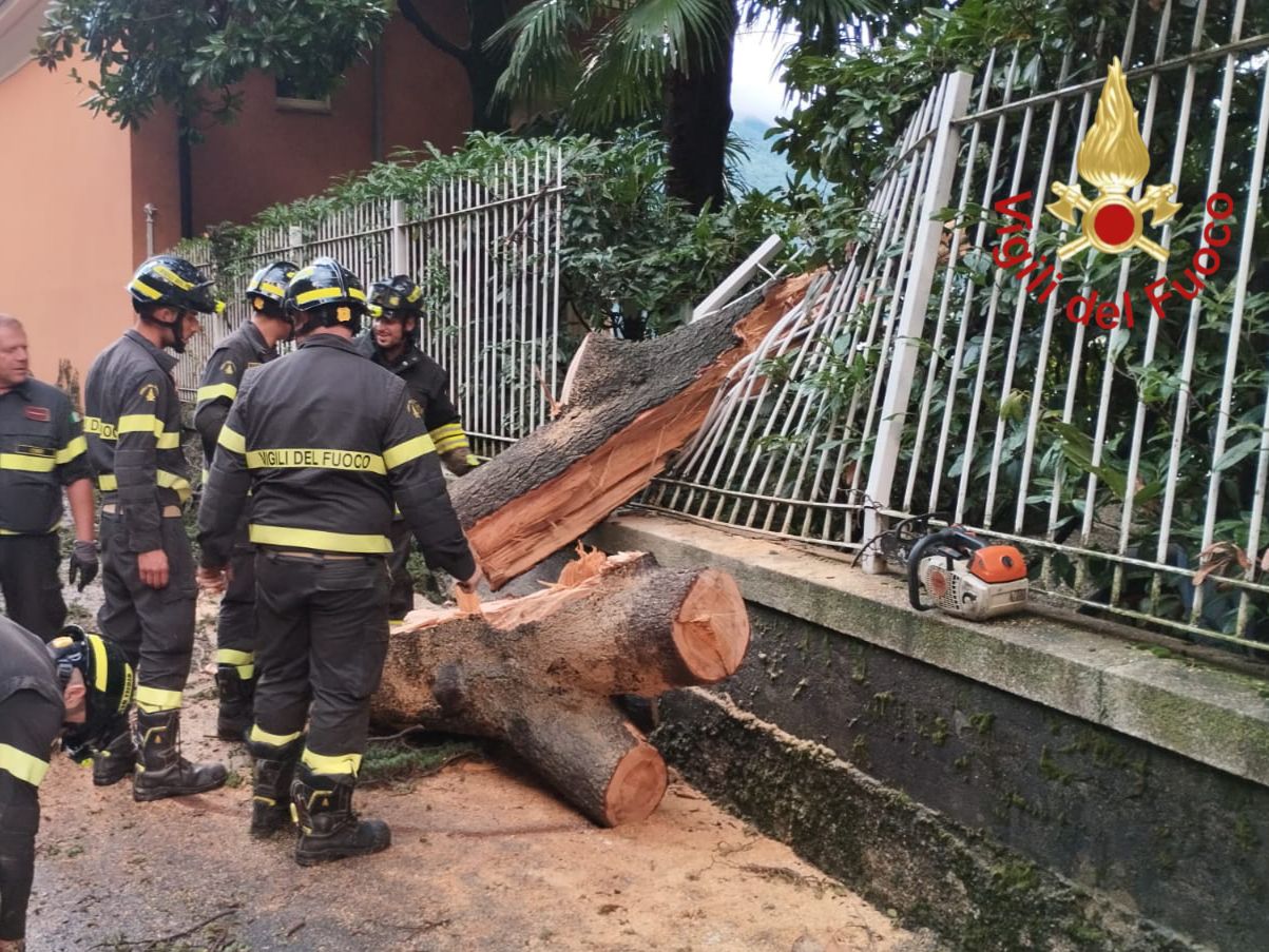 Viabilità: interrotta la Regina Vecchia a Carate Urio, caduto un albero