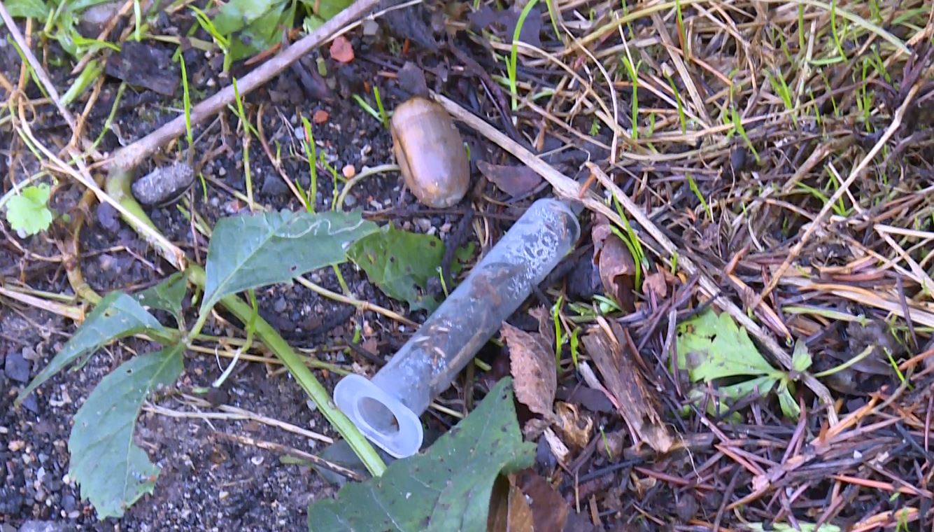 Boschi di Cadorago, la denuncia dei residenti: “Situazione insostenibile tra spaccio, siringhe e furti”   