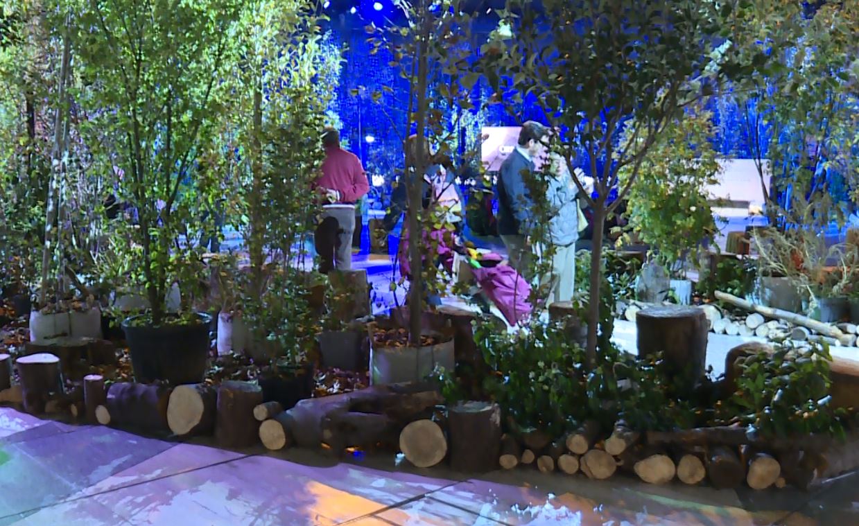 Orticolario a Villa Erba di Cernobbio, 250 espositori per l’edizione dedicata alla Terra