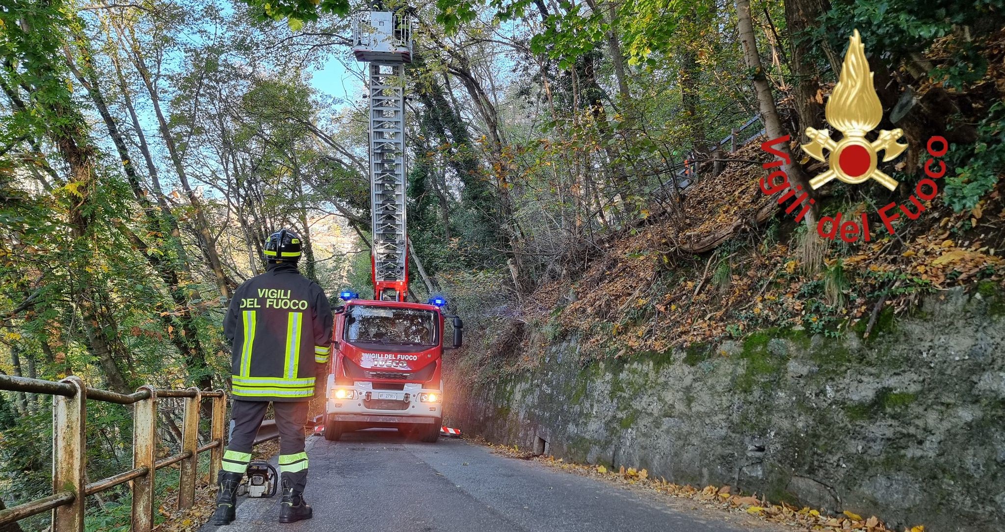 Pianta in bilico sulla strada, intervento dei pompieri a Brunate