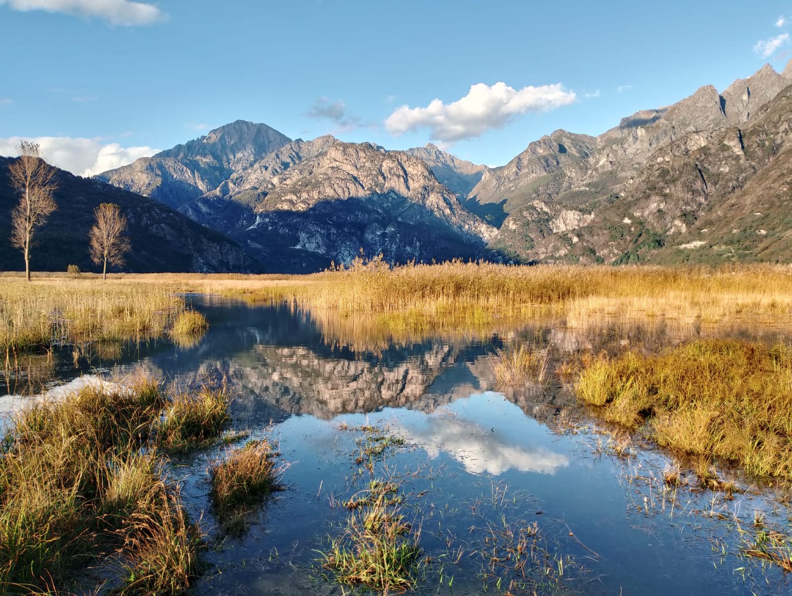 La salvaguardia delle riserve naturali: dalla Regione 270mila euro al Comasco per sei progetti