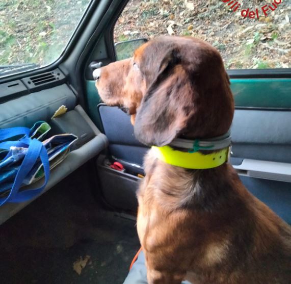 Ritrovato in salute il cane segugio che si era perso domenica in una grotta a Sormano
