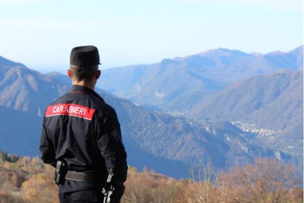 Civenna, scoperto un allevamento clandestino: sequestrati 30 cani e quattro cavalli che ora cercano casa