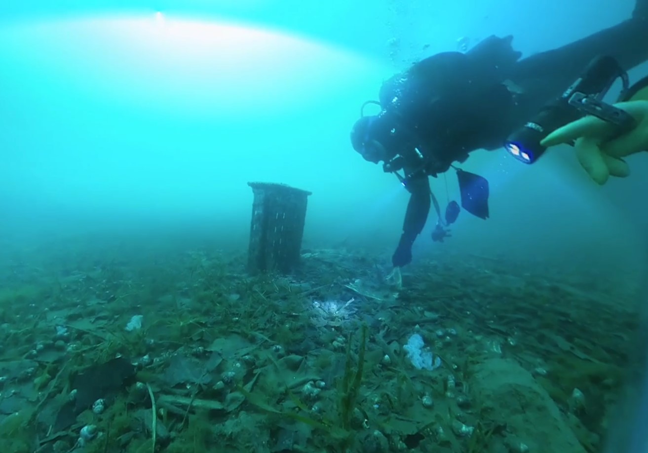 Re-Lake, il primo progetto di rinaturalizzazione di un lago