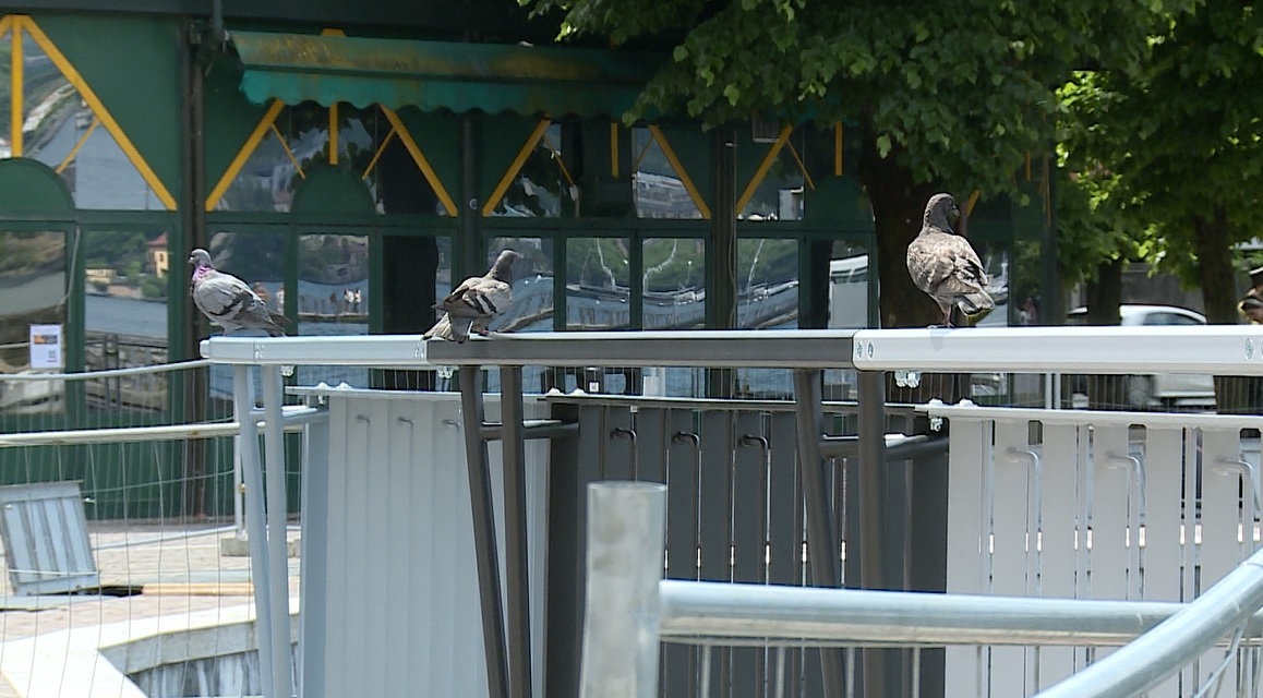 Lungolago, i nuovi parapetti sono già spariti. I comaschi delusi: “Troppo moderni, sembrano reti da cantiere”