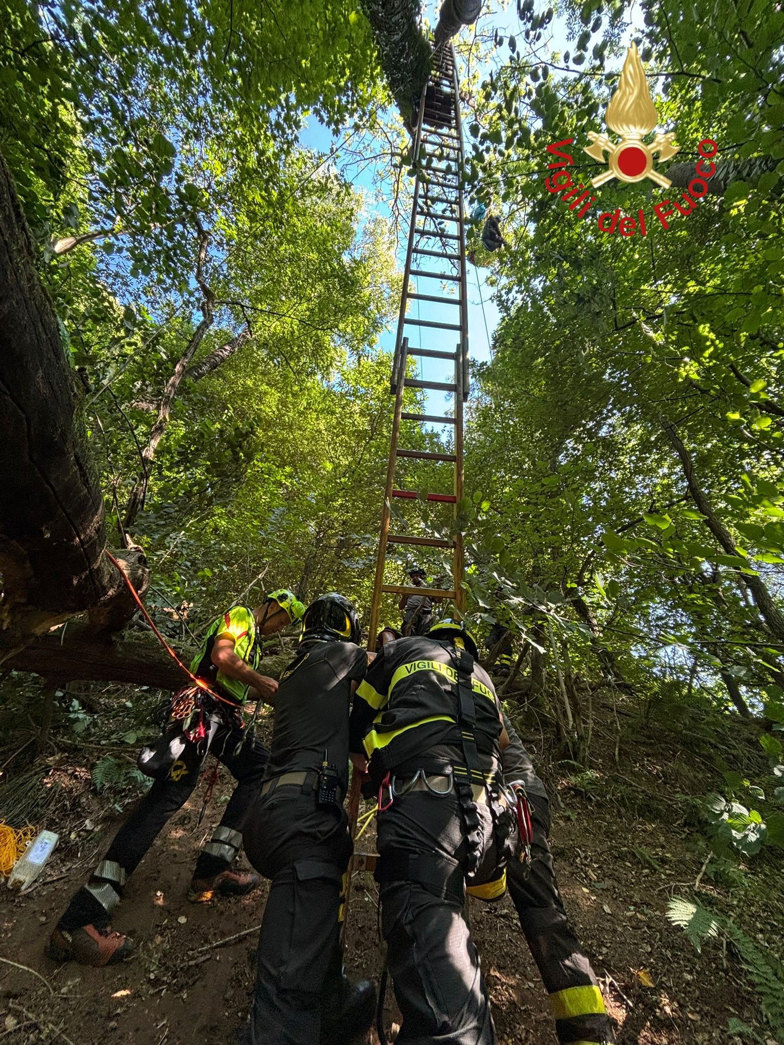 Cade con il parapendio e resta impigliata in un albero a 20 metri di altezza. 57enne illesa