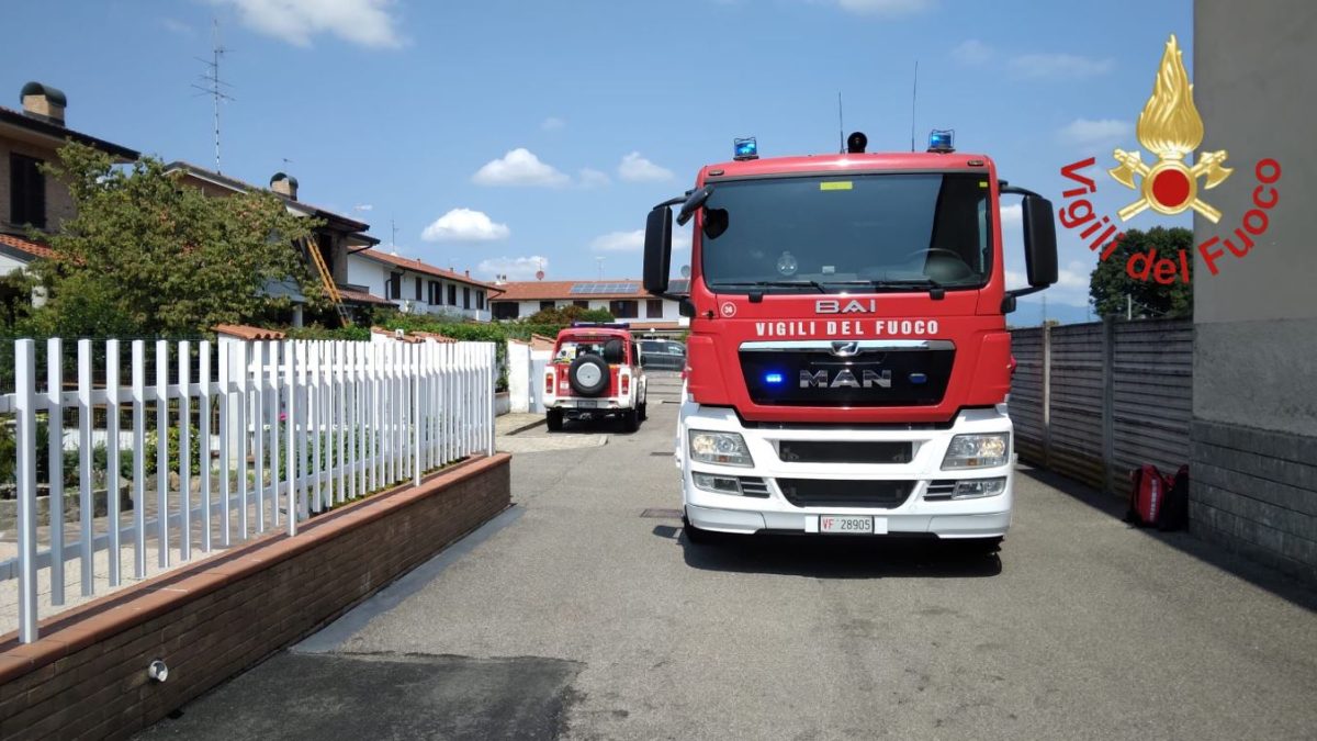 Rovellasca, incendio in un’abitazione: salvati quattro gatti