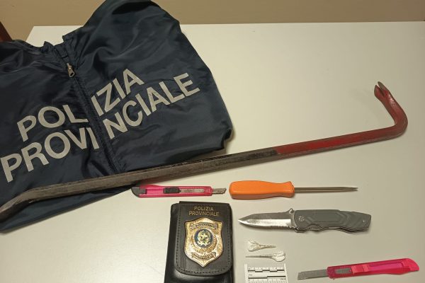 Controlli antidroga della polizia provinciale, sequestrate armi e cocaina