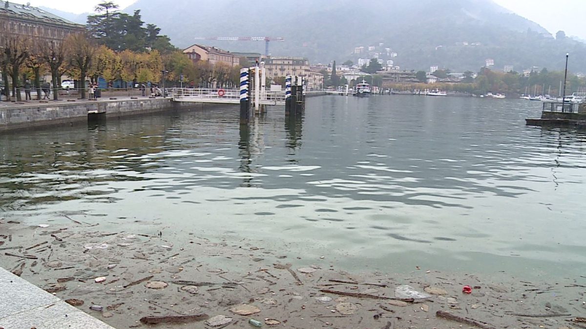 Corse degli aliscafi ancora sospese, la lettera dei pendolari. La Navigazione: “Tronchi sommersi, il rischio resta alto”