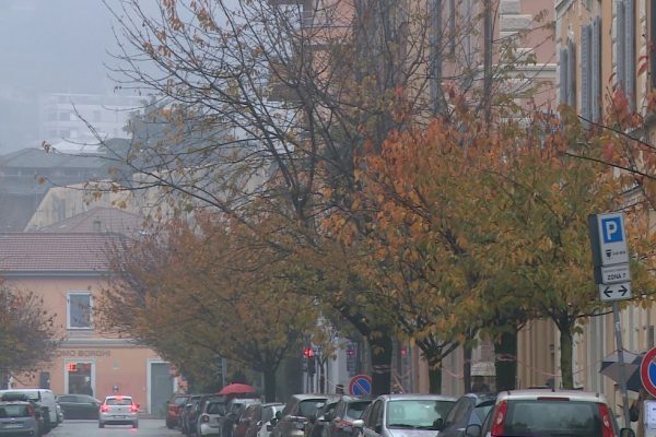 abbattimento ciliegi via XX Settembre