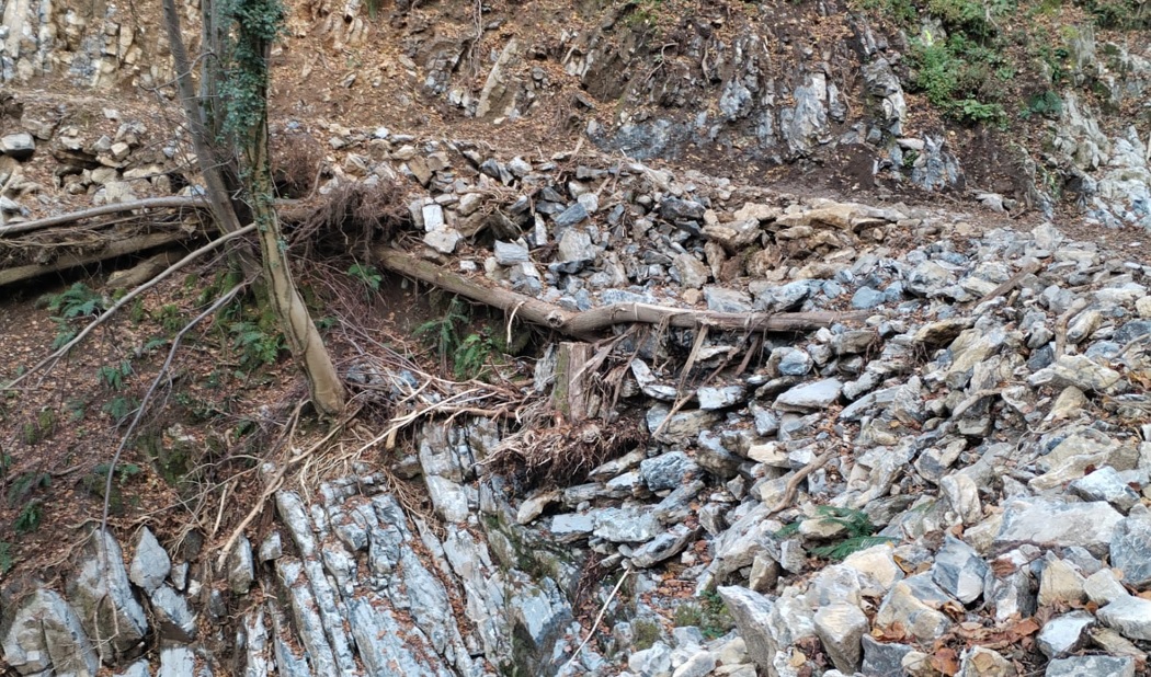 Blevio, lavori a rilento: nasce il comitato cittadino. Dalle zone montane sassi, tronchi e detriti rischiano di finire a valle