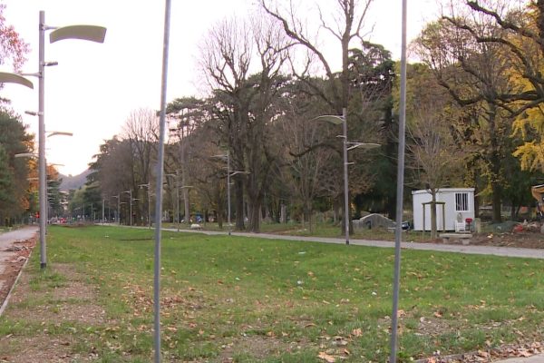 Como, abbattuti i ciliegi davanti al Tempio Voltiano. Il sindaco: “Erano ammalorati”