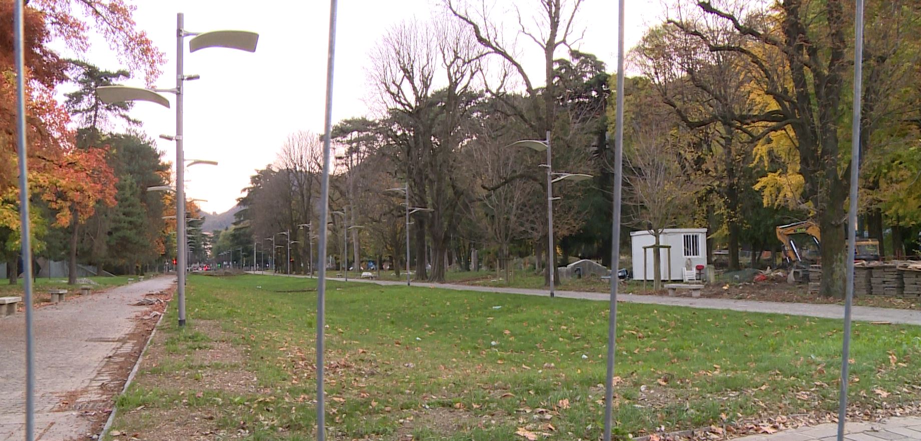 Como, abbattuti i ciliegi davanti al Tempio Voltiano. Il sindaco: “Erano ammalorati”