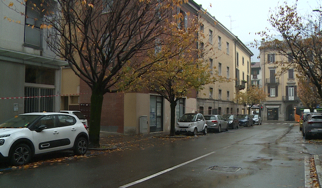 Como, la rivolta dei ciliegi arriva in consiglio comunale. Bodero Maccabeo: “Sono piante in fase terminale”