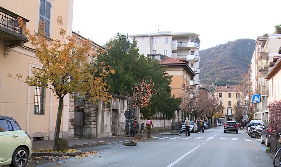 Il caso dei ciliegi in via XX Settembre. Lissi e Legnani (Pd): “Como deve puntare sulla bellezza, non certo risparmiare qualche soldo”
